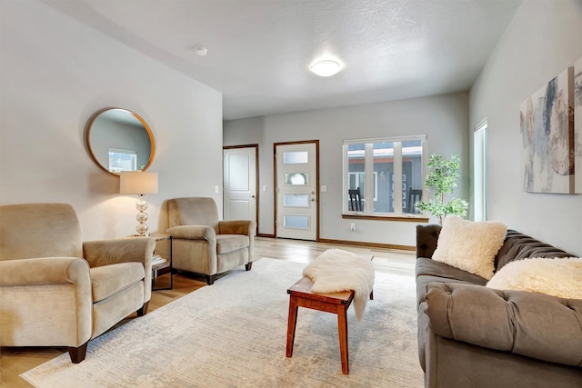 living room featuring light hardwood / wood-style flooring