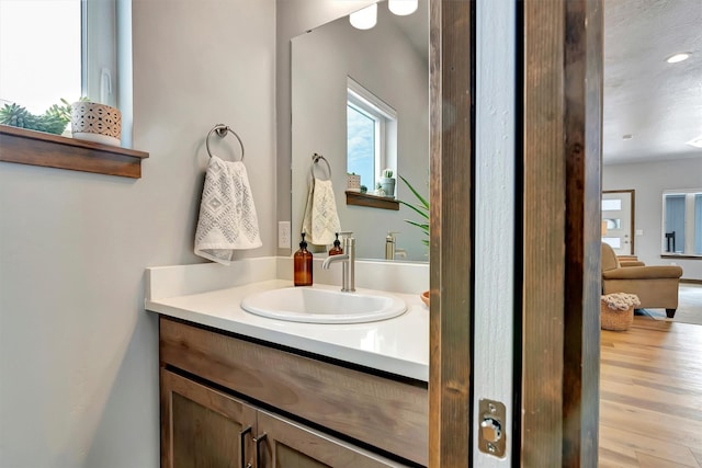 bathroom with wood-type flooring and vanity