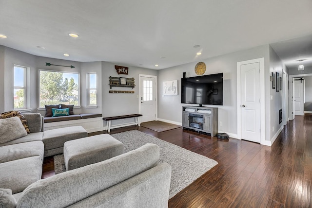 living room with dark wood-type flooring