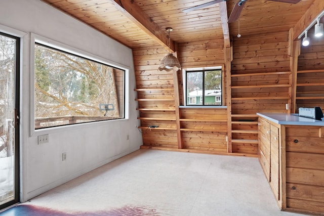 interior space featuring wooden walls and wooden ceiling