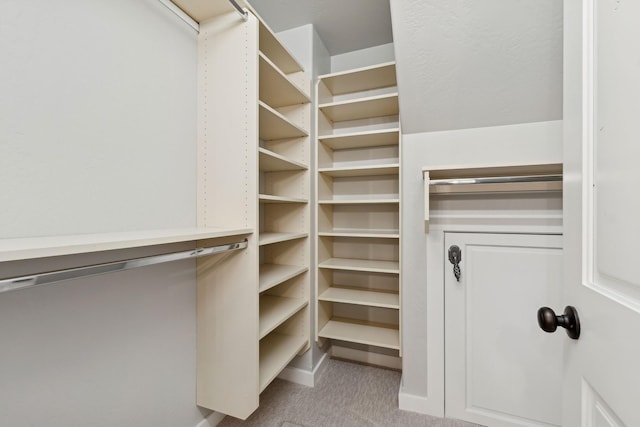 walk in closet with light colored carpet