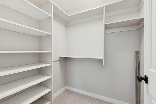 walk in closet featuring carpet floors