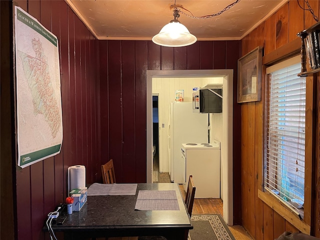 dining area featuring wooden walls and crown molding