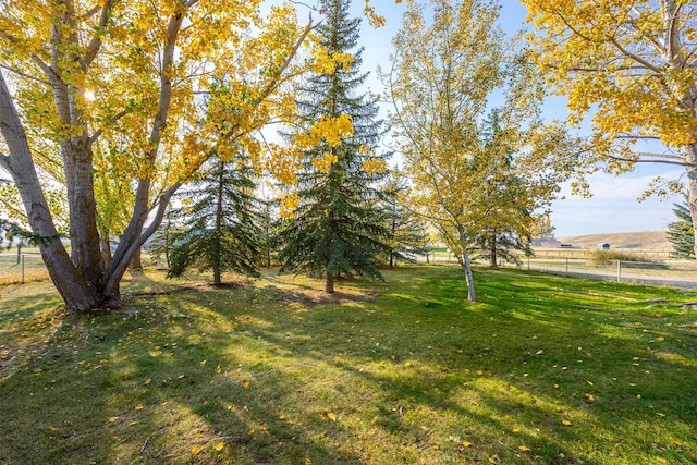 view of yard featuring a rural view