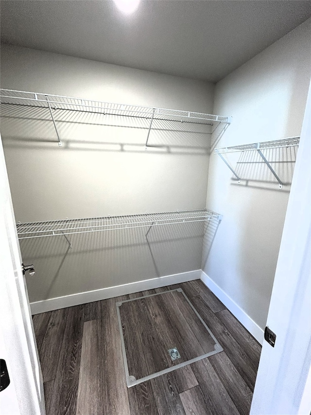 spacious closet with dark hardwood / wood-style flooring