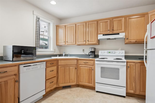 kitchen with white appliances and sink