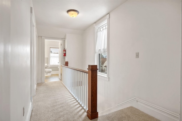 hallway with light carpet