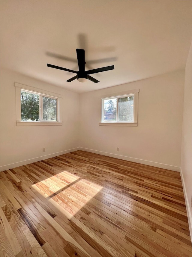 spare room featuring light wood-type flooring and plenty of natural light