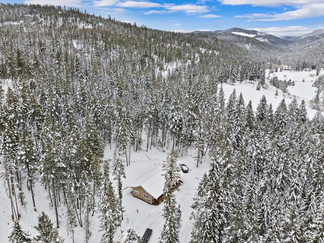 snowy aerial view with a mountain view