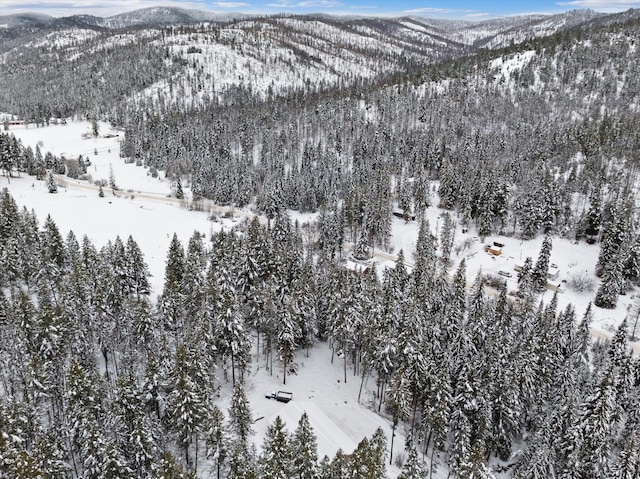 snowy aerial view featuring a mountain view