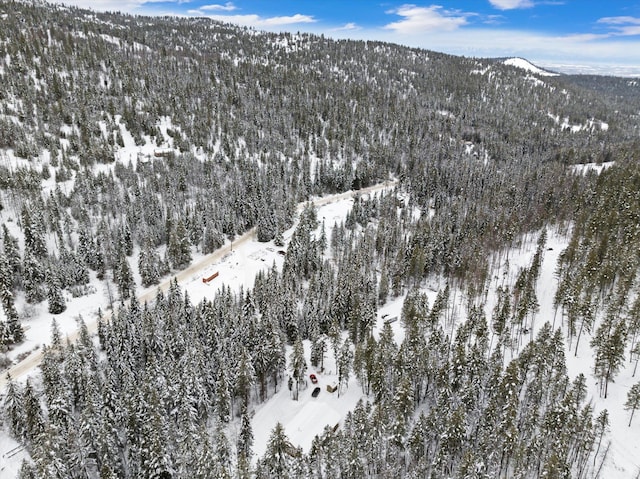 snowy aerial view featuring a mountain view