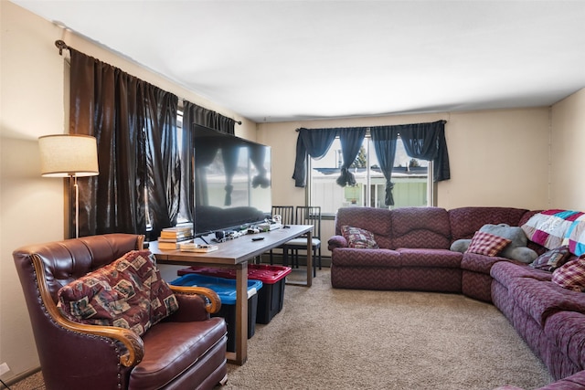 living room featuring carpet