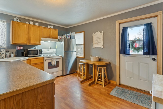 kitchen with stainless steel appliances, light wood-type flooring, ornamental molding, and sink