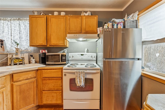 kitchen featuring sink, ornamental molding, and appliances with stainless steel finishes