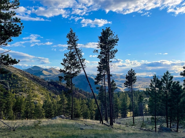 40ACRES American Bar Rd, Helena, MT 59602