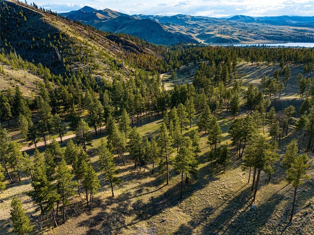 40ACRES American Bar Rd, Helena, MT 59602