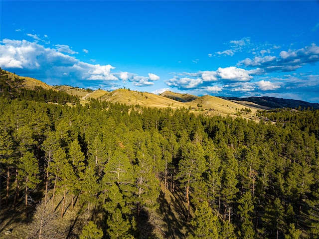 40ACRES American Bar Rd, Helena, MT 59602