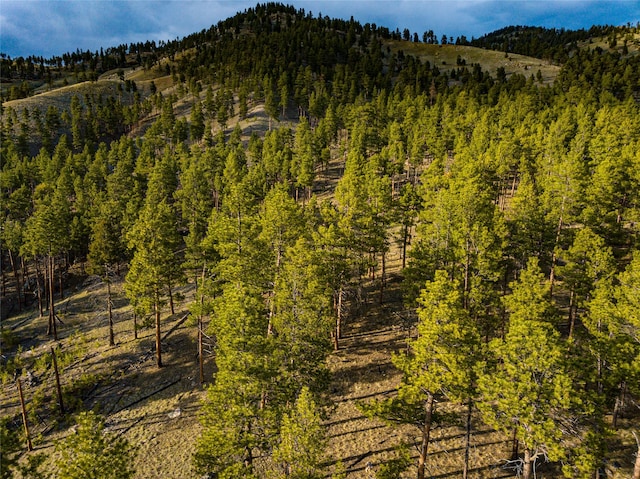 40ACRES American Bar Rd, Helena, MT 59602