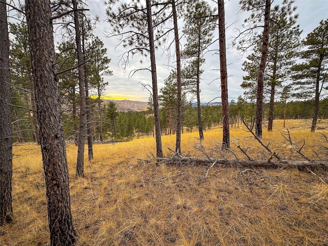 40ACRES American Bar Rd, Helena, MT 59602