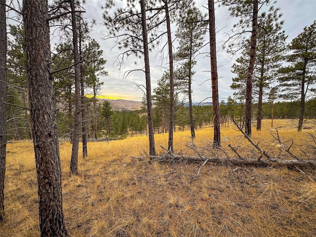 40ACRES American Bar Rd, Helena, MT 59602