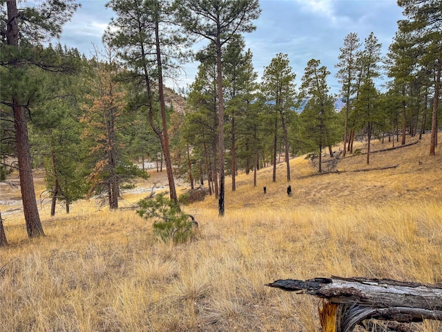 40ACRES American Bar Rd, Helena, MT 59602