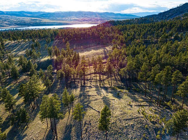 40ACRES American Bar Rd, Helena, MT 59602