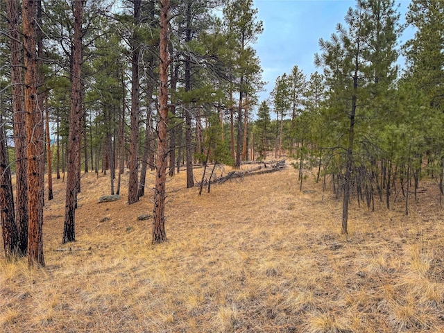 40ACRES American Bar Rd, Helena, MT 59602