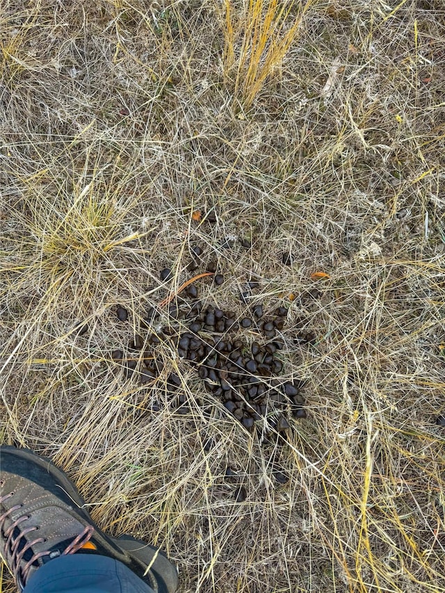 40ACRES American Bar Rd, Helena, MT 59602