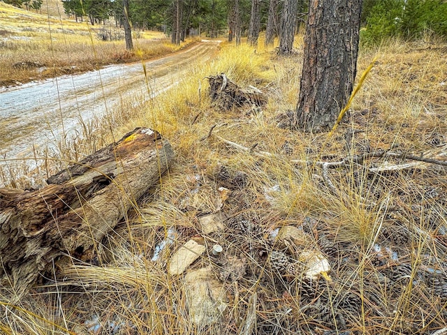 40ACRES American Bar Rd, Helena, MT 59602