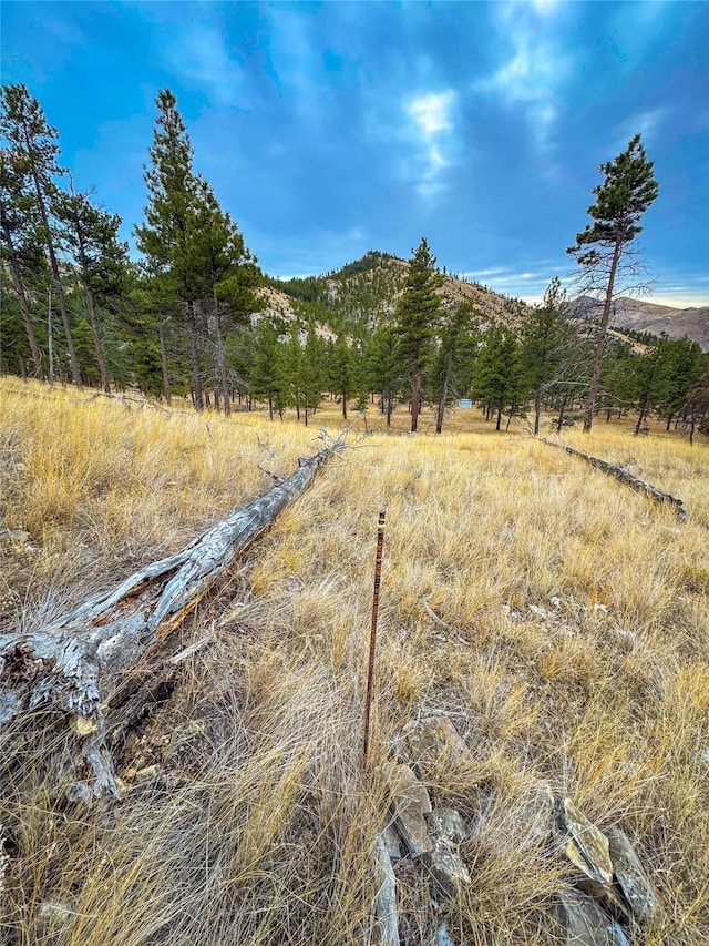 40ACRES American Bar Rd, Helena, MT 59602