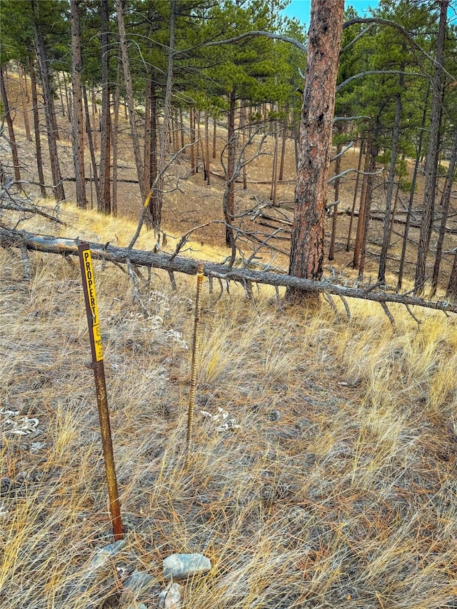 40ACRES American Bar Rd, Helena, MT 59602