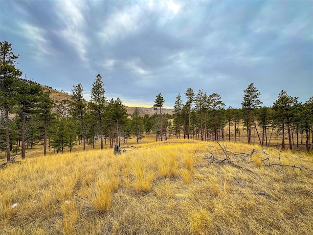 Listing photo 3 for 40ACRES American Bar Rd, Helena MT 59602