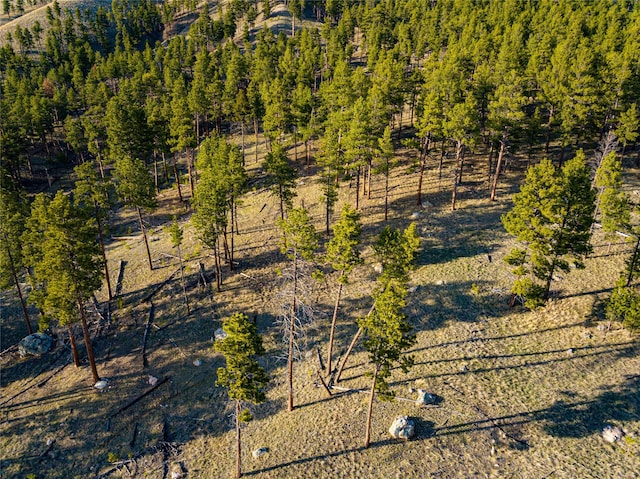 40ACRES American Bar Rd, Helena, MT 59602