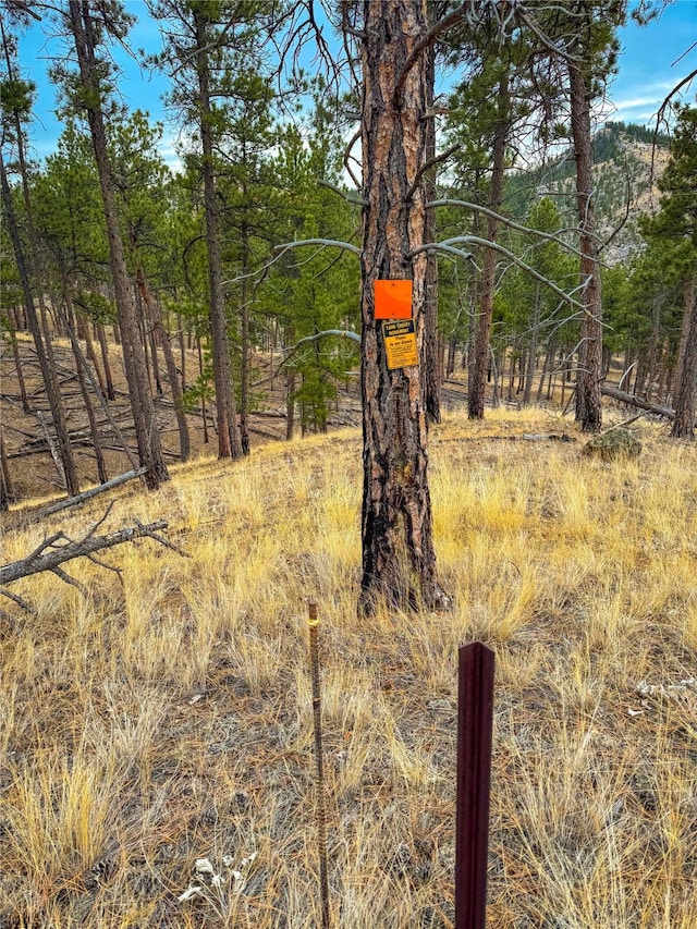 40ACRES American Bar Rd, Helena, MT 59602