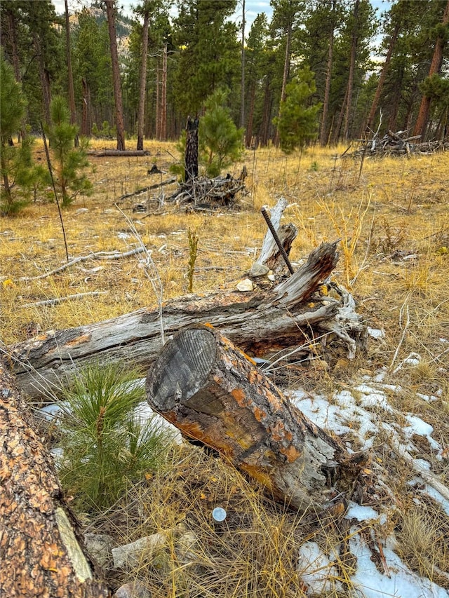 40ACRES American Bar Rd, Helena, MT 59602