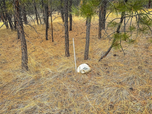 40ACRES American Bar Rd, Helena, MT 59602