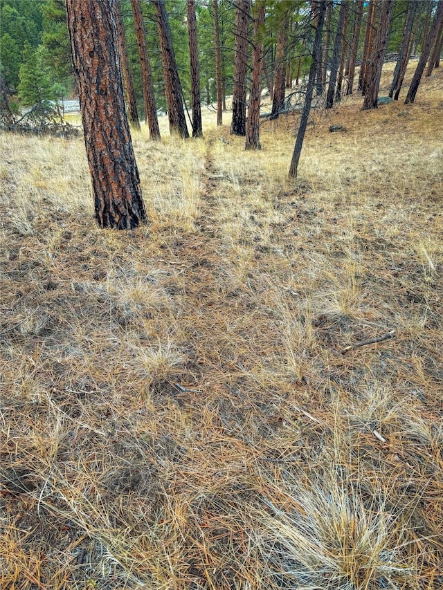 40ACRES American Bar Rd, Helena, MT 59602