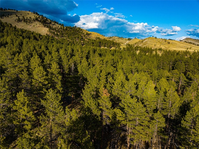 40ACRES American Bar Rd, Helena, MT 59602