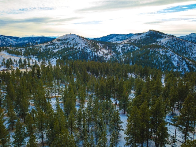 40ACRES American Bar Rd, Helena, MT 59602