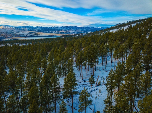40ACRES American Bar Rd, Helena, MT 59602