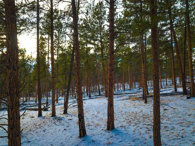 40ACRES American Bar Rd, Helena, MT 59602
