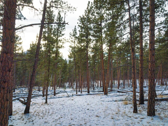 40ACRES American Bar Rd, Helena, MT 59602