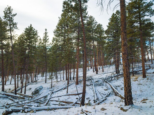 40ACRES American Bar Rd, Helena, MT 59602