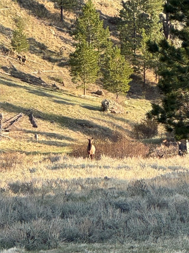 40ACRES American Bar Rd, Helena, MT 59602
