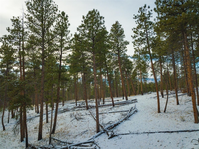 40ACRES American Bar Rd, Helena, MT 59602