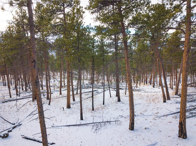 40ACRES American Bar Rd, Helena, MT 59602
