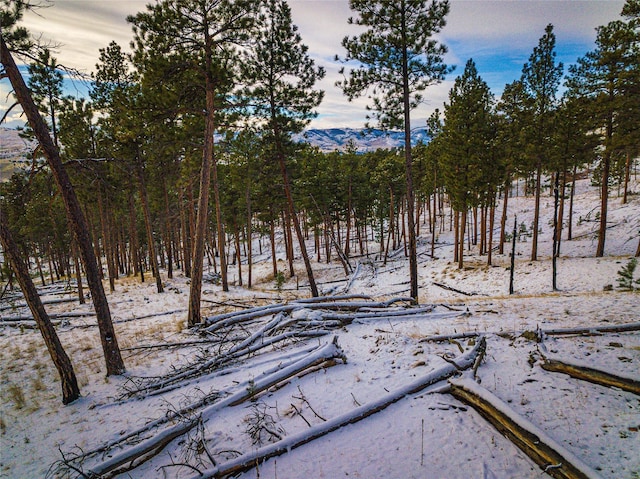 40ACRES American Bar Rd, Helena, MT 59602