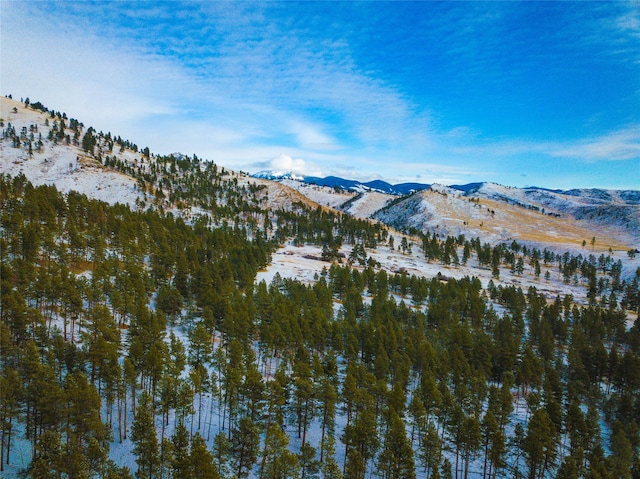 40ACRES American Bar Rd, Helena, MT 59602