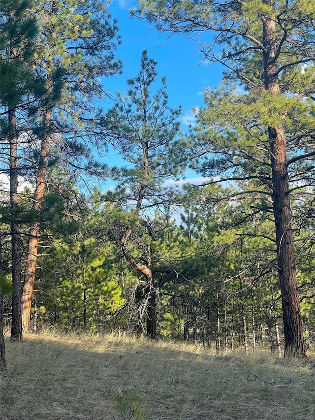 40ACRES American Bar Rd, Helena, MT 59602