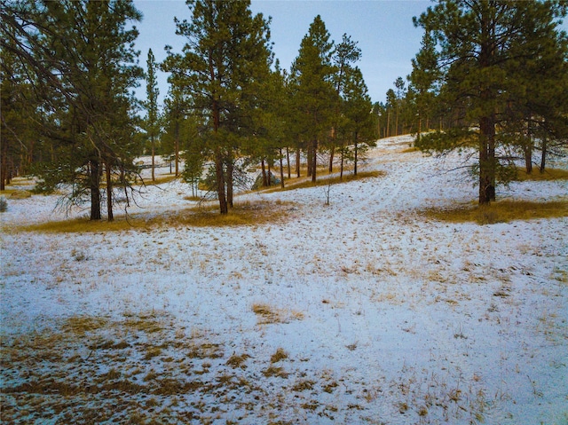 40ACRES American Bar Rd, Helena, MT 59602